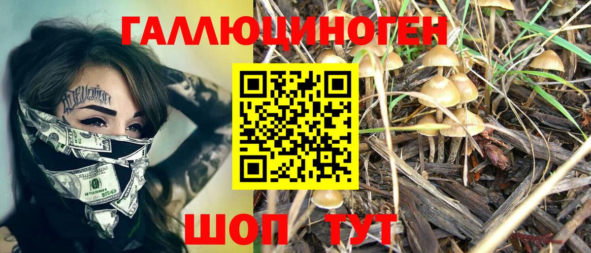 Псилоцибиновые грибы MAGIC MUSHROOMS Россошь