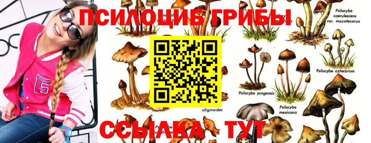 наркошоп  Вход с VPN  Россошь  Галлюциногенные грибы MAGIC MUSHROOMS 